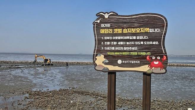 갯벌 말뚝박기에 숨이 턱…생태계 영향은 어찌할까-기사요약