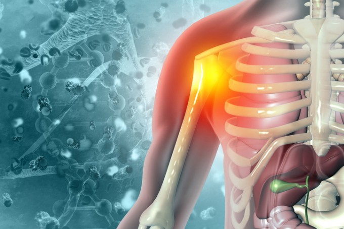장내 미생물, 원인 불명 만성통증 치료 효과 확인 기사 요약