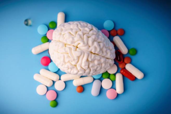 차세대 정신병약 개발 ‘핵심 퍼즐’ 찾았다