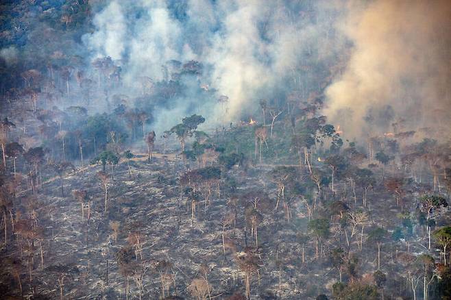 “시골 공기, 좋은 줄 알았더니” 거의 ‘화생방’ 수준…알고보니 대도시가 낫다? [지구, 뭐래?]